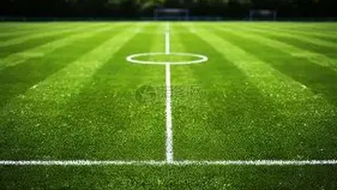 浦和红钻女足主帅因武汉女足亚冠夺冠被解职